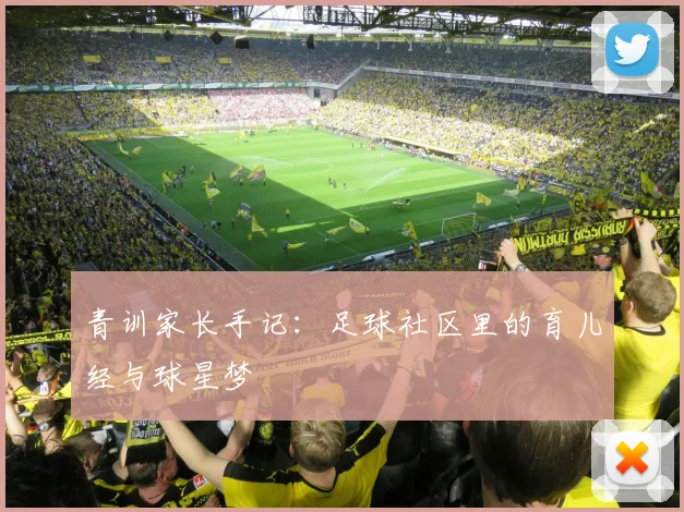 青训家长手记：足球社区里的育儿经与球星梦