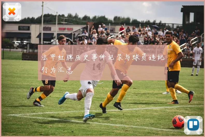 法甲红牌历史事件记录与球员违纪行为汇总