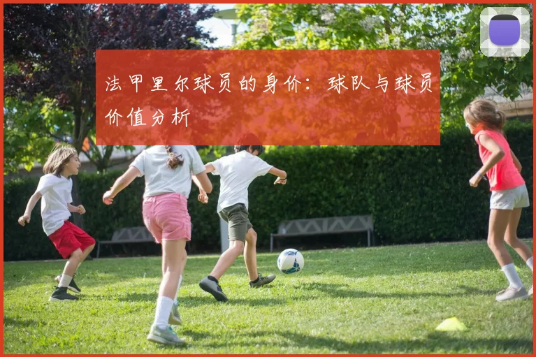 法甲里尔球员的身价：球队与球员价值分析