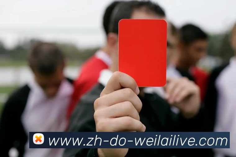 纬来体育平台生态图