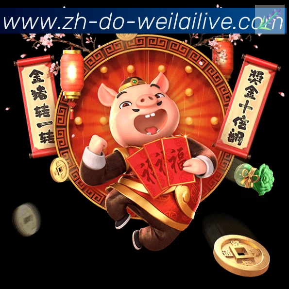 对战数据统计